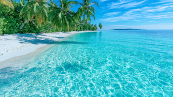 Tropical Paradise Beach Scene with Crystal-Clear Lagoon