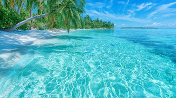 Tropical Paradise Beach with Crystal-Clear Lagoon