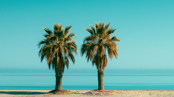 Tropical Paradise: Palm Trees against a Clear Blue Sky