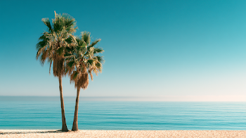 Tropical Paradise: Palm Trees by the Turquoise Beach