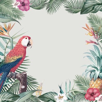 Tropical parrot frame | Free stock vector - 554869