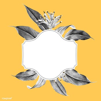 Tropical plant mockup illustration | Free stock vector - 555485