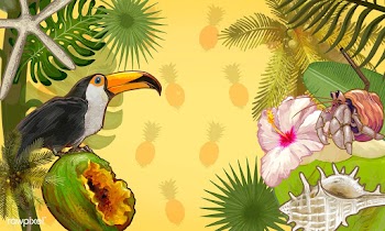 Tropical plants and fruits background | Free stock vector - 463791