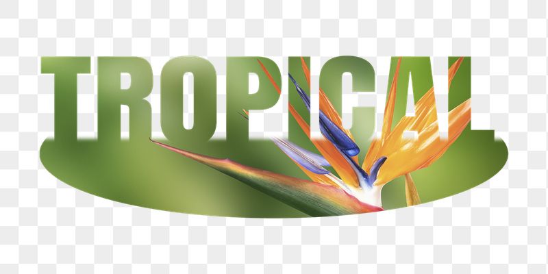 Tropical png word sticker on transparent | Free PNG - rawpixel