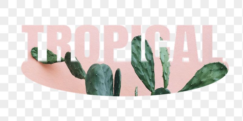 Tropical png word sticker on transparent | Free PNG - rawpixel