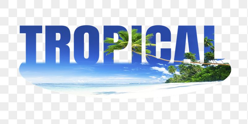 Tropical png word sticker, palm | Free PNG - rawpixel
