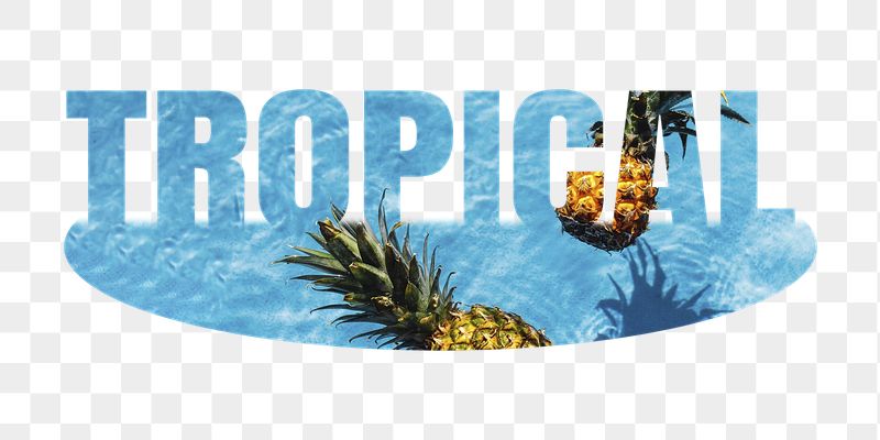 Tropical png word sticker, pineapple | Free PNG - rawpixel