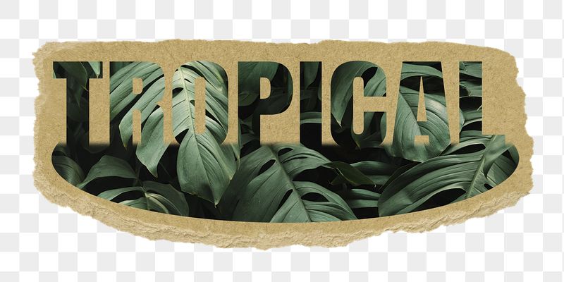 Tropical png word sticker, ripped | Free PNG - rawpixel