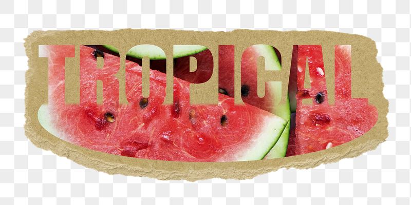 Tropical png word sticker, ripped | Free PNG - rawpixel