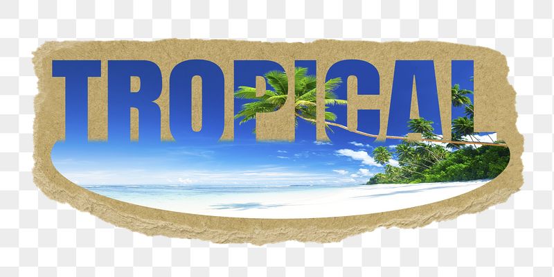 Tropical png word sticker, ripped | Free PNG - rawpixel