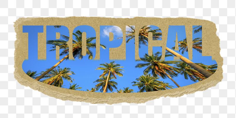 Tropical png word sticker, ripped | Free PNG - rawpixel
