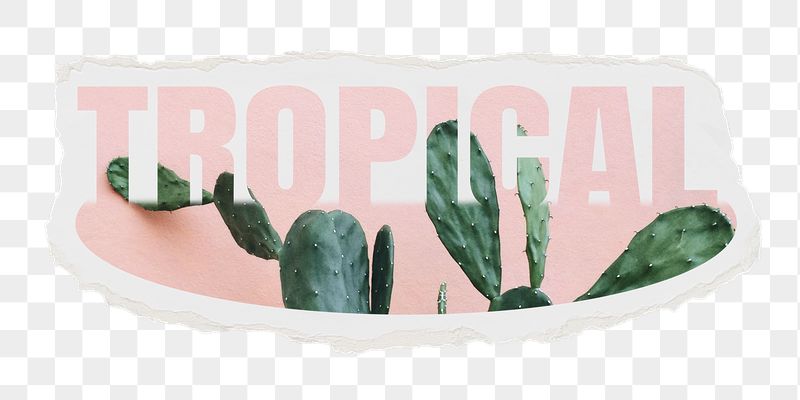 Tropical png word sticker, ripped | Free PNG - rawpixel