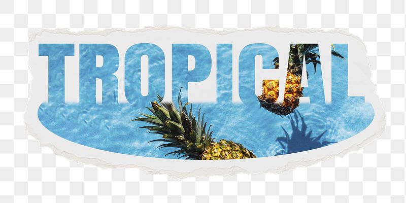 Tropical png word sticker, ripped | Free PNG - rawpixel