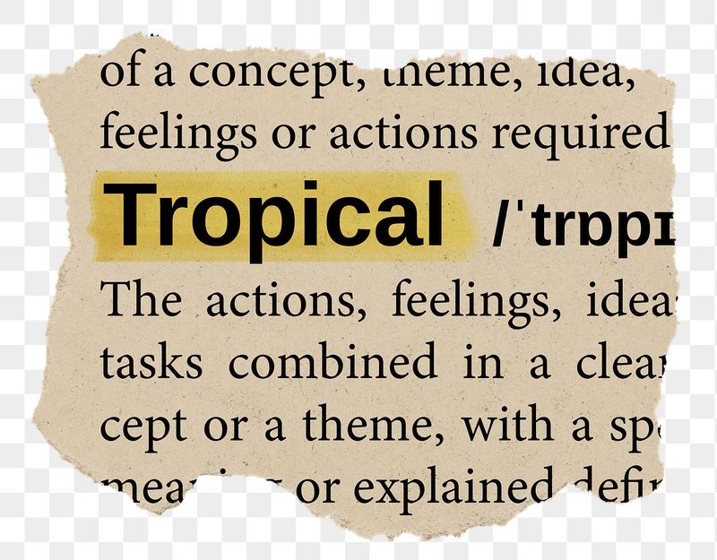 Tropical png word sticker, torn | Free PNG - rawpixel