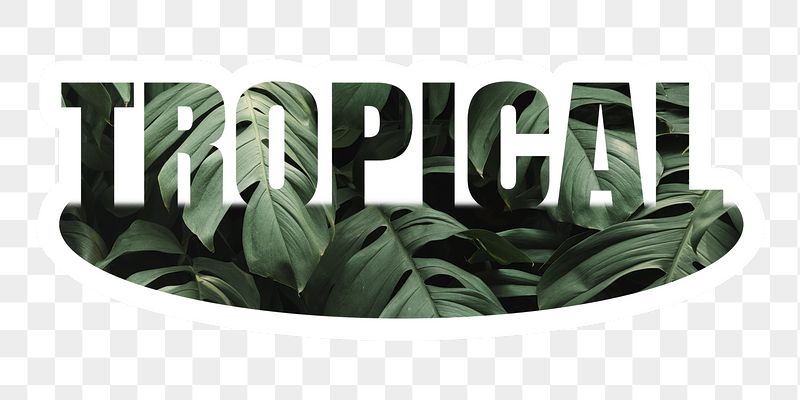 Tropical png word sticker, white | Free PNG - rawpixel