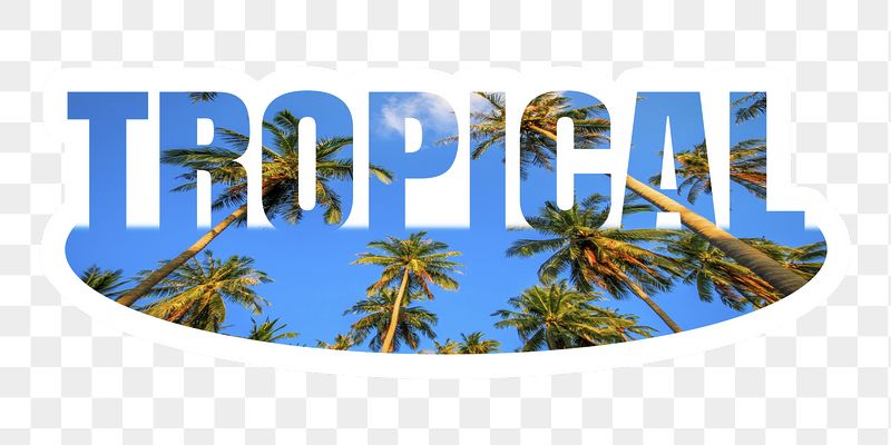 Tropical png word sticker, white | Free PNG - rawpixel