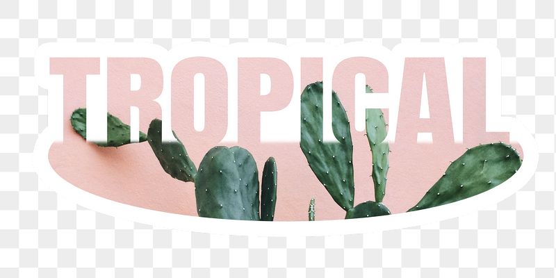 Tropical png word sticker, white | Free PNG - rawpixel