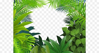 Tropical rainforest Jungle Tropics Clip art - Yin green grass 
