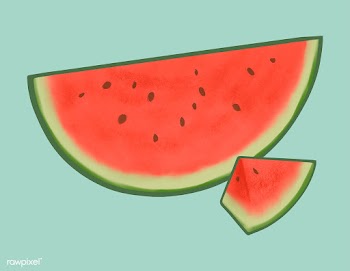 Tropical sliced red watermelon illustration | Free stock vector - 463854