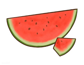 Tropical sliced red watermelon illustration | Free stock vector - 463857