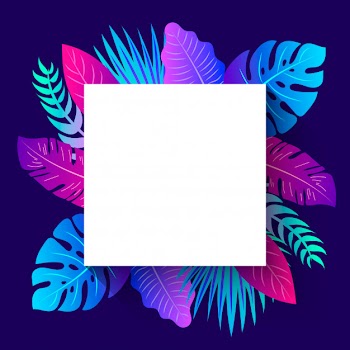 Tropical summer frame. instagram post Free Vector