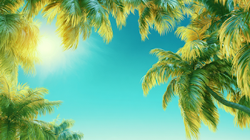 Tropical Summer Sky with Palm Fronds