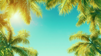 Tropical Summer Sky with Palm Fronds