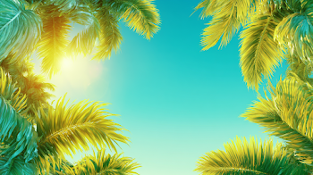 Tropical Summer Sky with Palm Fronds