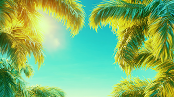 Tropical Summer Sky with Palm Fronds