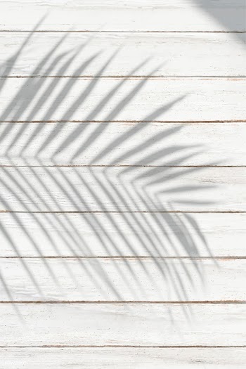Tropical wooden background | Free stock vector - 597341