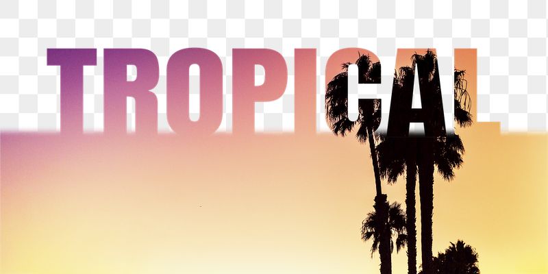 Tropical word png border sticker, | Free PNG - rawpixel
