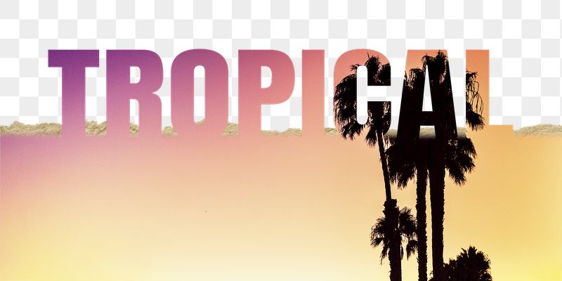 Tropical word png border sticker, | Free PNG - rawpixel