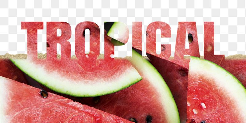 Tropical word png border sticker, | Free PNG - rawpixel