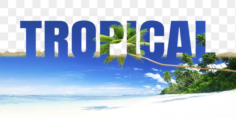 Tropical word png border sticker, | Free PNG - rawpixel