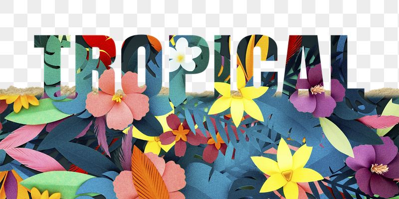 Tropical word png border sticker, | Free PNG - rawpixel
