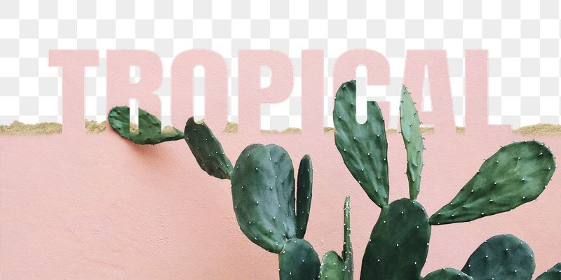 Tropical word png border sticker, | Free PNG - rawpixel