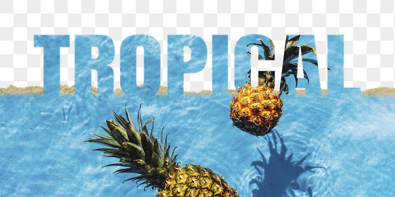Tropical word png border sticker, | Free PNG - rawpixel