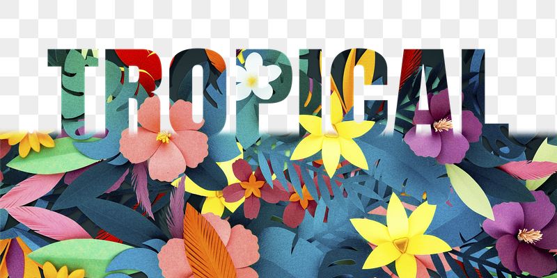 Tropical word png border sticker, | Free PNG - rawpixel