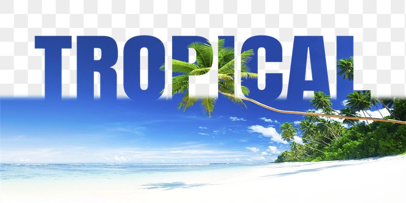 Tropical word png border sticker, | Free PNG - rawpixel