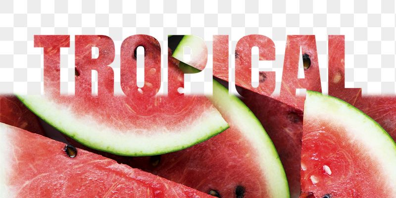 Tropical word png border sticker, | Free PNG - rawpixel