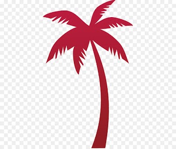 Tropicana Tree Coconut Euclidean vector - Coconut tree vector material 