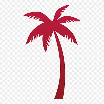 Tropicana Tree Coconut Euclidean Vector - Illustrator Coconut Tree Vector