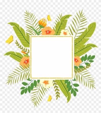 Tropics Flower Clip Art - Tropical Flower Frame Png