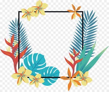 Tropics Geometry Quadrilateral Clip art - Quadrilateral tropical border 