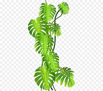 Tropics Jungle Tropical rainforest Clip art - Green coconut leaves 