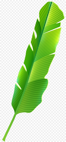 Tropics Leaf Clip art - banana leaves 