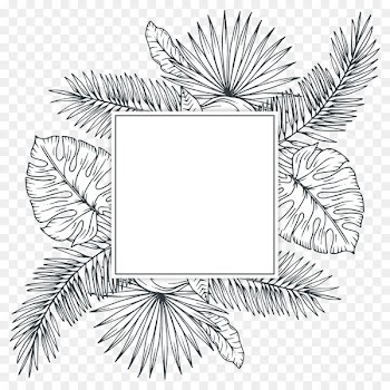 Tropics Plant Sketch - Tropical plants 