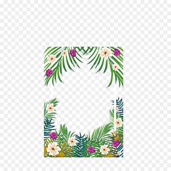 Tropics - Tropical borders 