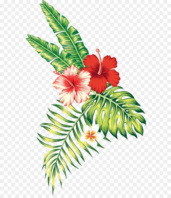 Tropics Tropical climate Flower - mix flowers 