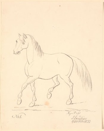 Trotting horse, facing left by Johan | Free Photo - rawpixel